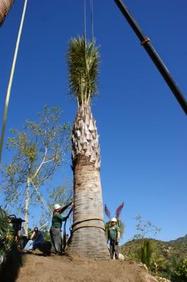 Grounds Maintenance Services