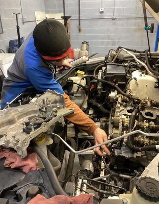 ST Foreign & Domestic