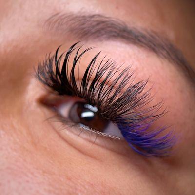 Bambi Lash