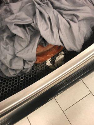 Went to put bedding in dry and more leftovers