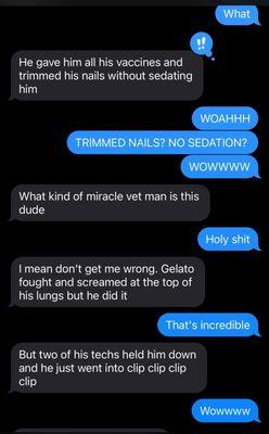 Central Veterinary Hospital