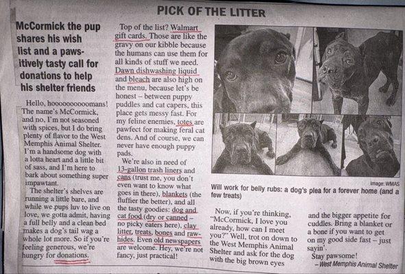 West Memphis Animal Shelter