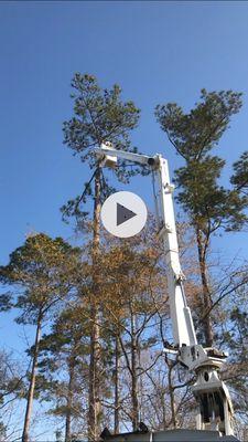 J & J Complete Tree Service