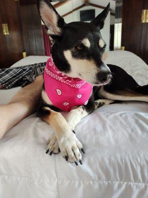 Karma after bath, ears and nails.