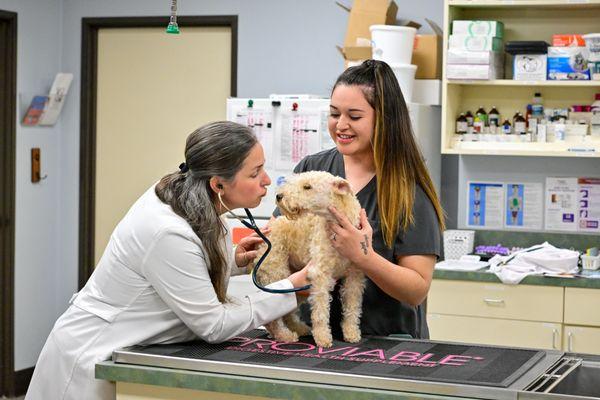 Vickery Place Animal Hospital