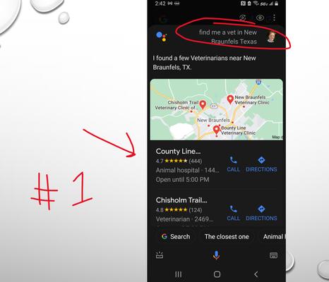 Rise Local Consulting