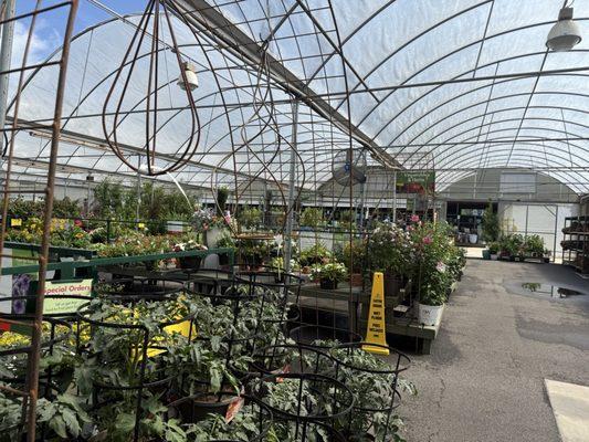 Pike Nurseries
