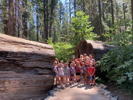 Sarah Kelly’s Child Care