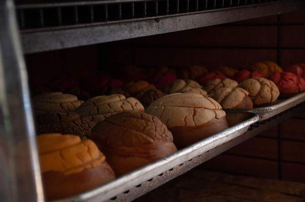 Alegria’s Mexican Bread