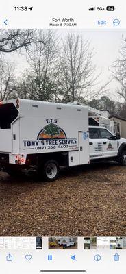 Tony's Tree Service
