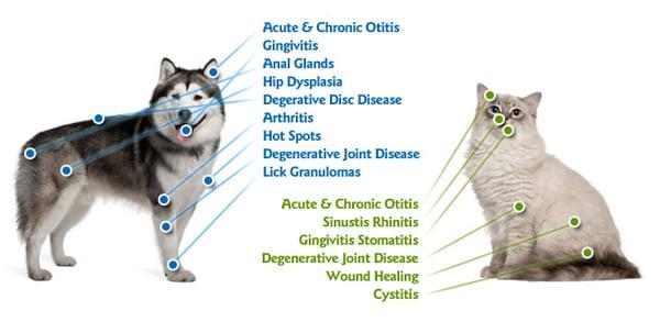 Therapeutic Laser Treatments