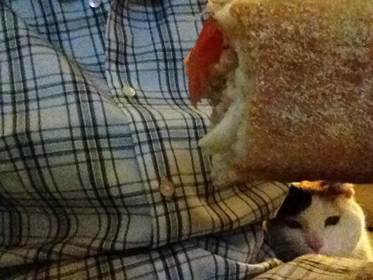 Nothing short of a great sandwich!