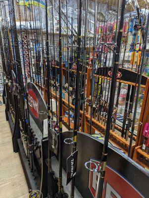 Chasin'tails Outdoors