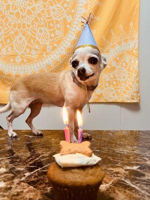 Hawaii Doggie Bakery & Gift Shop