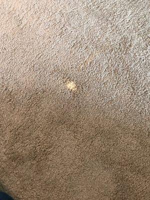 Small damaged area of decoloration