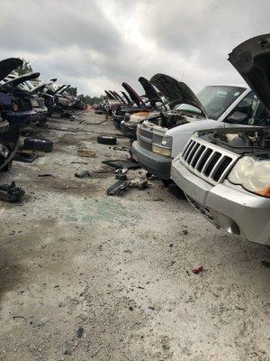 I was at u pull it today just looking for a head visor to Reupholster