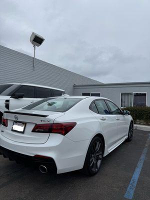 Mossy Collision Center