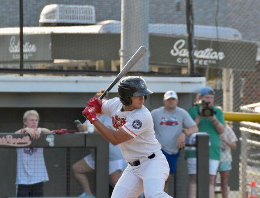 Burlington Sock Puppets