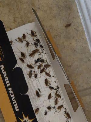 Villa Hermosa Apartments