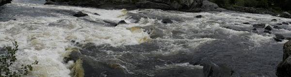 Chewonki Big Eddy Campground