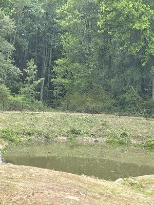 Adcocks Family Tree Service