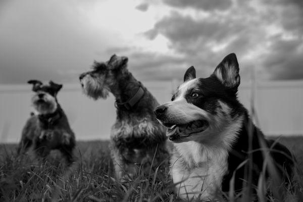 The Duvalls Photography