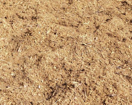 Carter's Stump Grinding