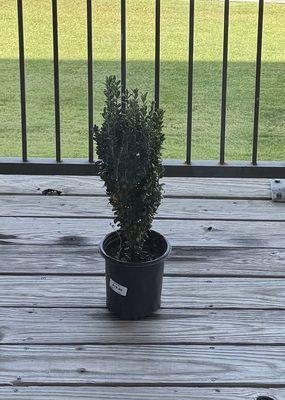 Dan West Garden Centers