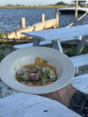 Barnegat Oyster Collective