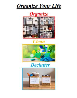 Organize Clean Declutter
