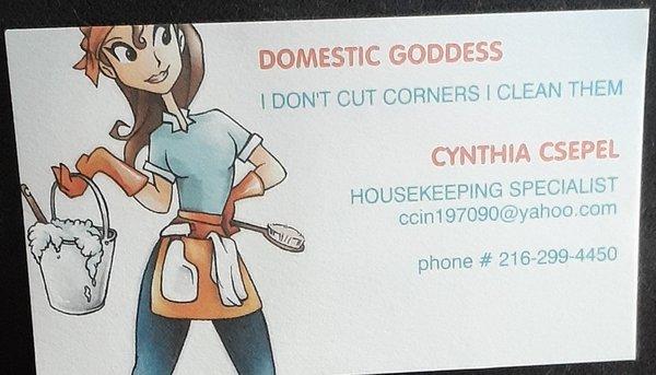 Domestic Goddess