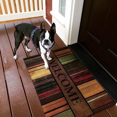 Drea Cooper - Cascadia Digs