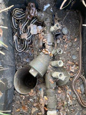 All About Irrigation