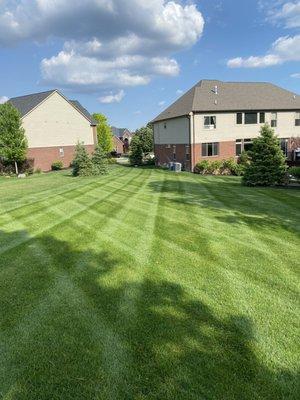 Lariat Lawn and Landscape