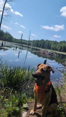 Horse Hill Nature Preserve