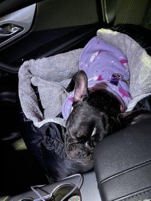 The famous Houndstown hangover, haha.