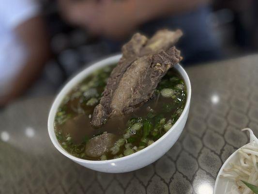 P1. Fulton House Pho