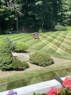 Executive Touch Landscaping & Const