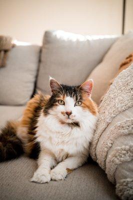 Michelle Schapiro Photography