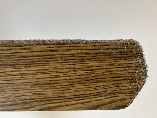 Faber Pro Cleaning