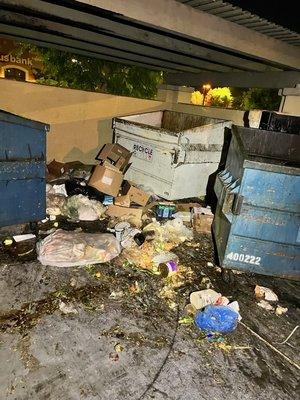 Built Rite Property Services