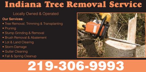 Indiana Tree Removal Service