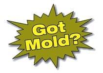 Get Mold Removal