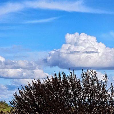 Hamilton Field Bay Trail