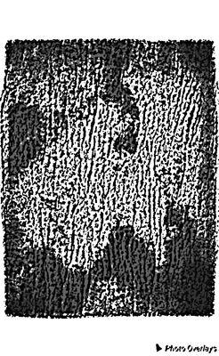 this image has occurred and cannot be undone