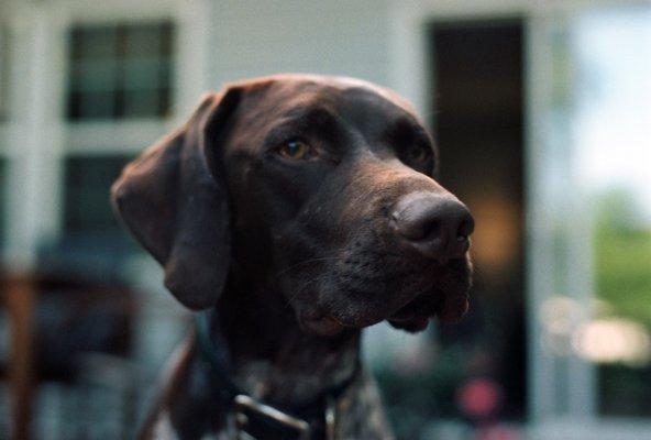 One of the photos I took on my Nikon FG, color corrected by Jamey