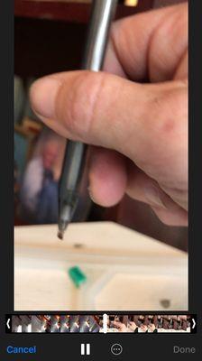 Best Hitchhiker in the World! Bed bug grabbed end up pen and can't shake him off!