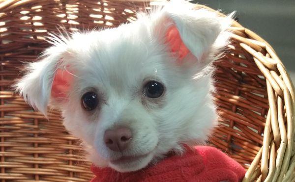 Farmers Insurance - Cindy Alexander