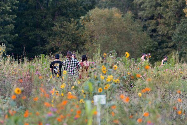 Sacred Hollow Farm LLC