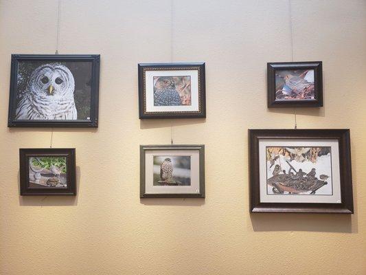 North Central Regional Library System